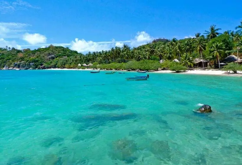 Big Fish Resort Koh Tao