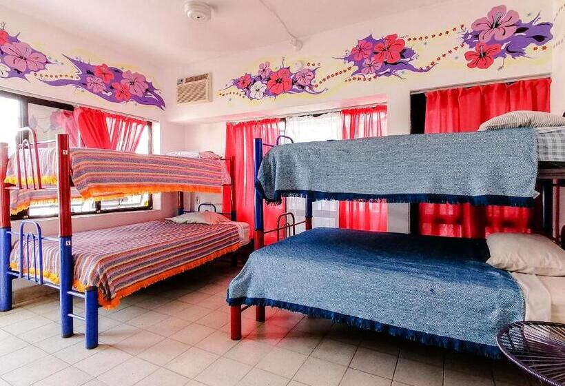 Hostel Vallarta