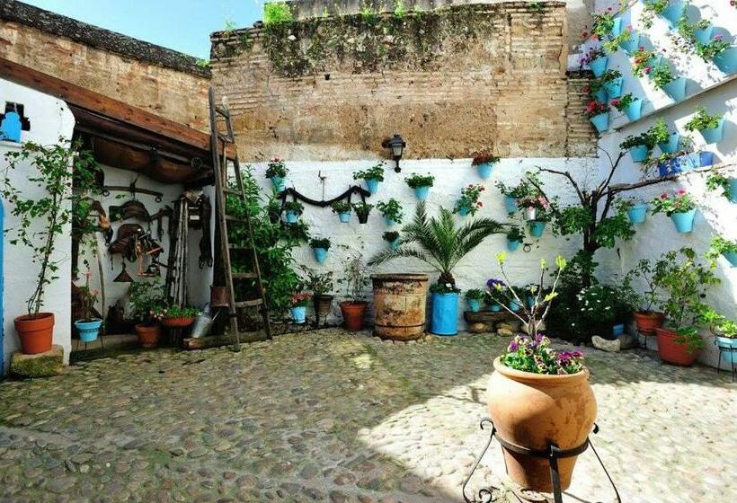 Pension (Hôtel basse catégorie) De Patios