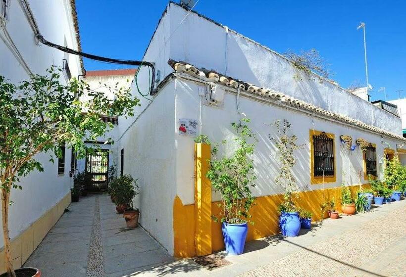 Pension (Hôtel basse catégorie) De Patios