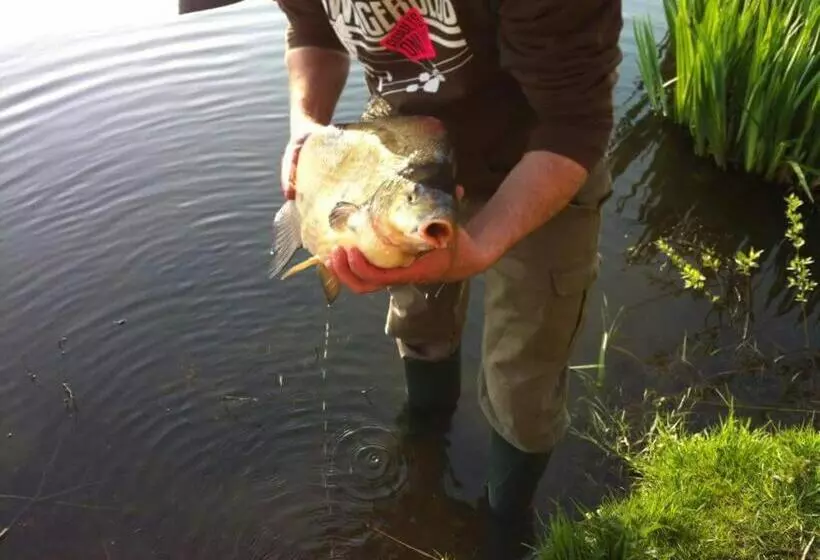 Pension Am Birkensee