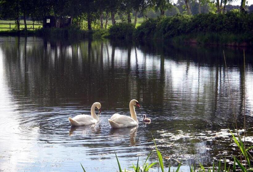Pension Am Birkensee