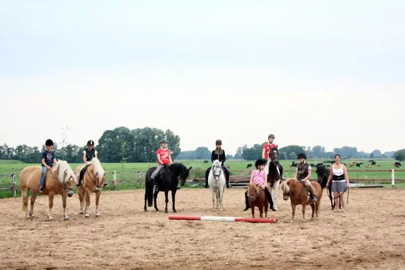 Pension Am Birkensee