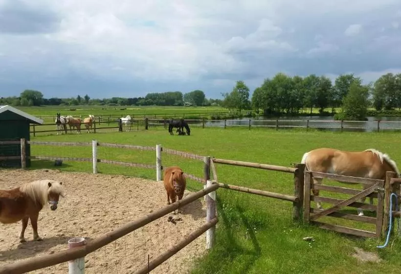 Pension Am Birkensee