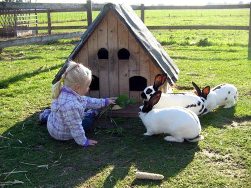 Pension Am Birkensee