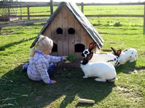 Pension Am Birkensee