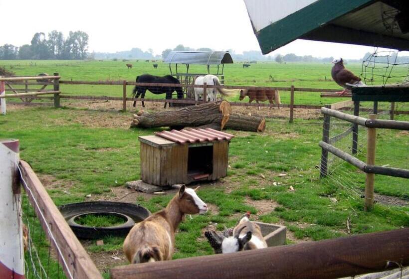 Pension Am Birkensee