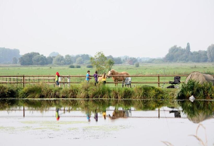 Pension Am Birkensee