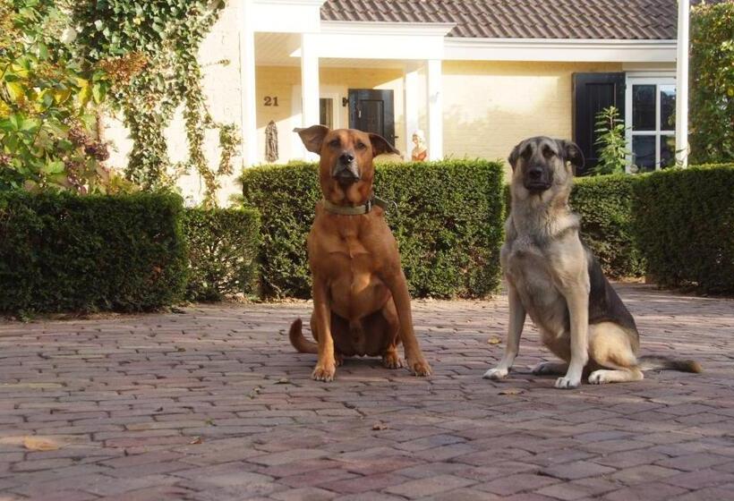 Beck S Bed And Breakfast