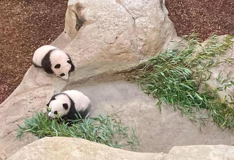Gite En Sologne,  Châteaux De La Loire, Beauval