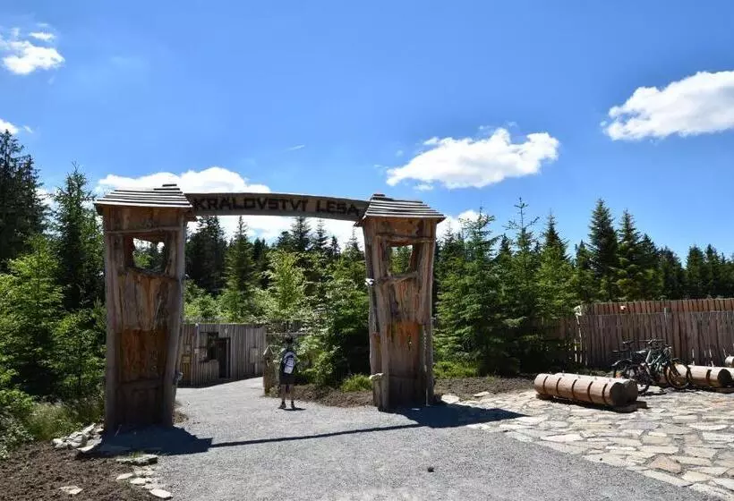 ペンション Apartments Lipno Serafin