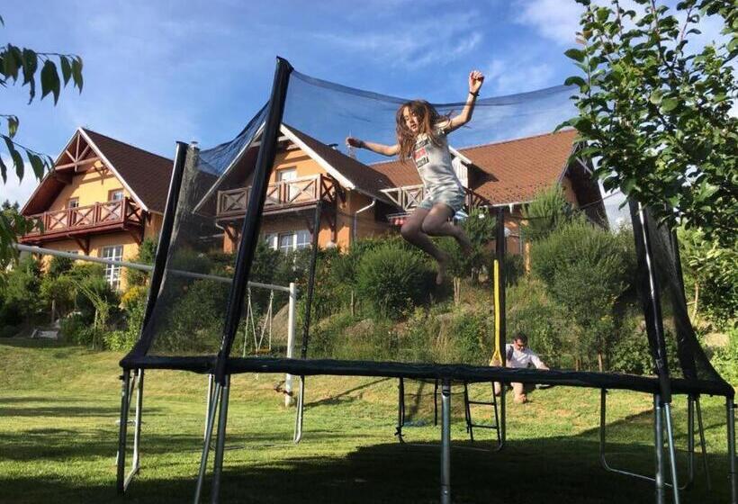 펜션 Apartments Lipno Serafin