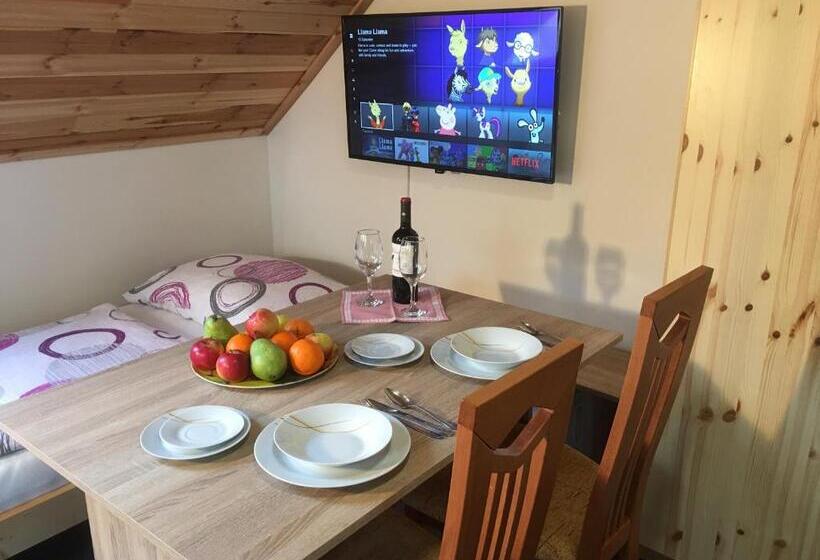 펜션 Apartments Lipno Serafin