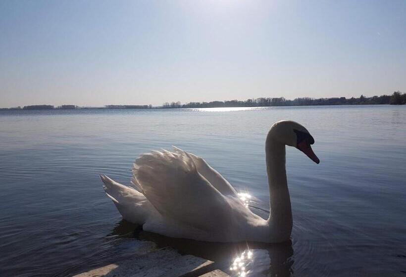 פנסיון Penzion Pasohlávky