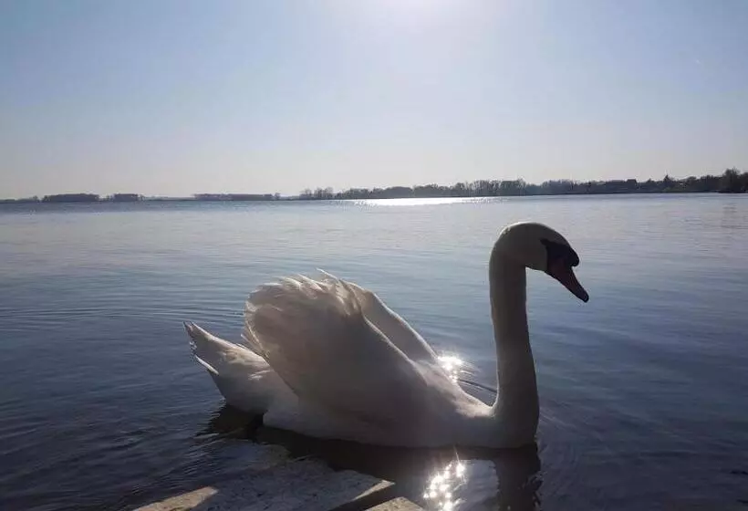 Majatalo Penzion Pasohlávky