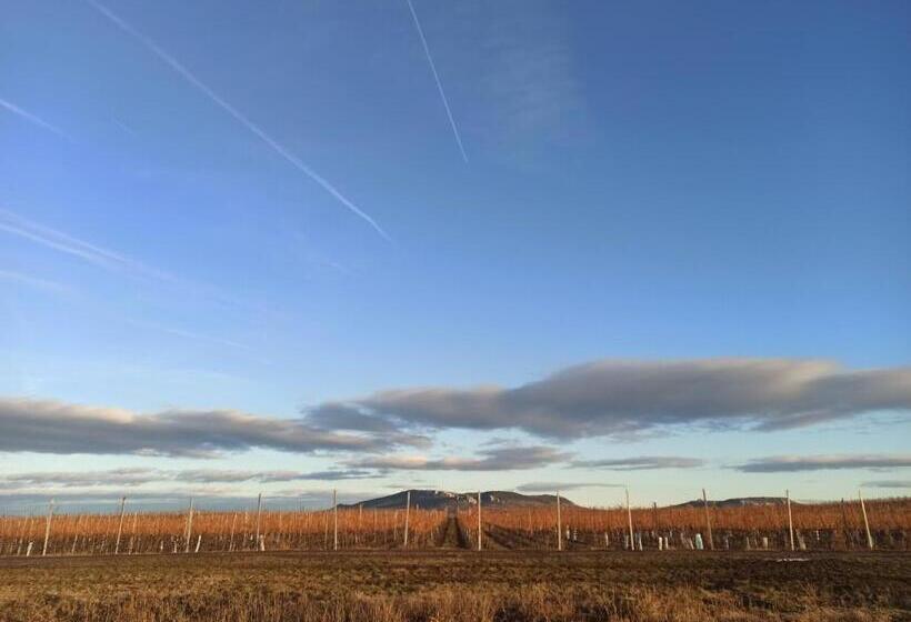 펜션 Penzion Pasohlávky