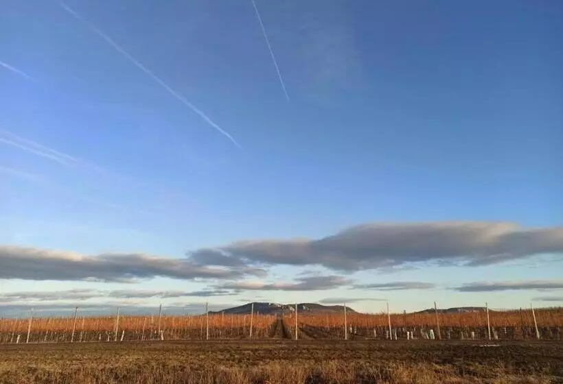 Majatalo Penzion Pasohlávky