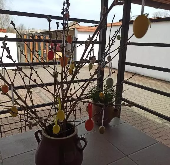 Majatalo Penzion Pasohlávky