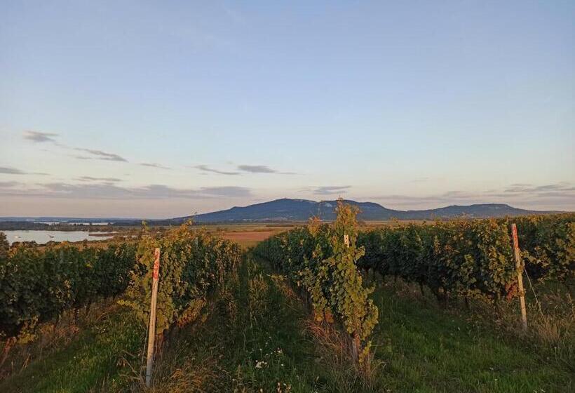 펜션 Penzion Pasohlávky