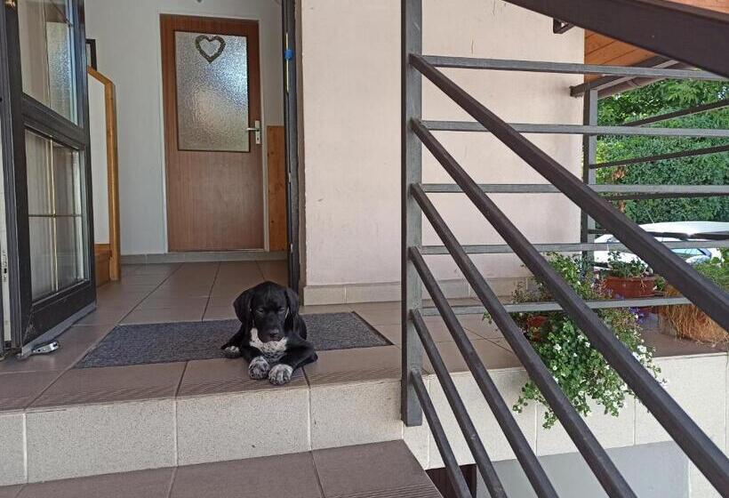 펜션 Penzion Pasohlávky