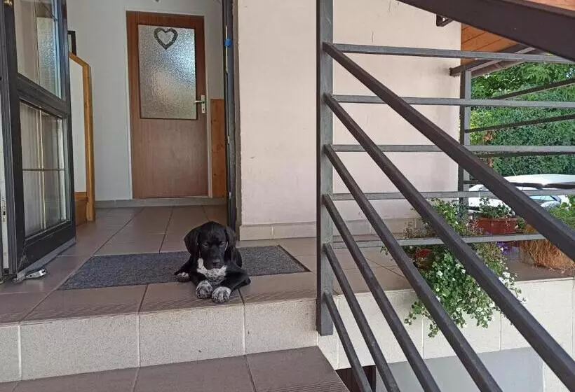 Majatalo Penzion Pasohlávky