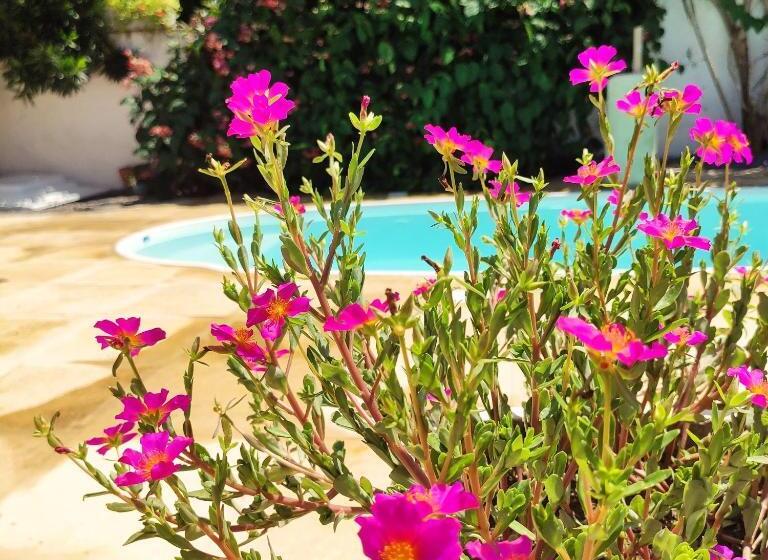 Общежитие Pousada Da Vivi