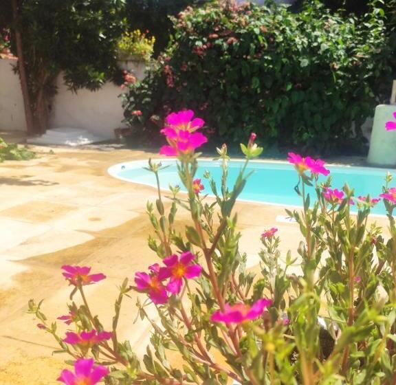 Общежитие Pousada Da Vivi