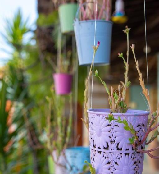 Общежитие Pousada Da Vivi