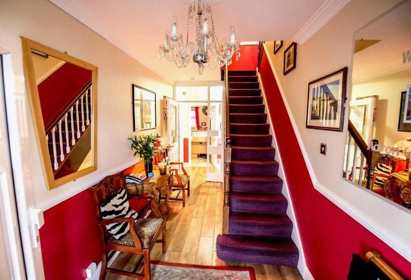 تختخواب و صبحانه Urban Nest Townhouse