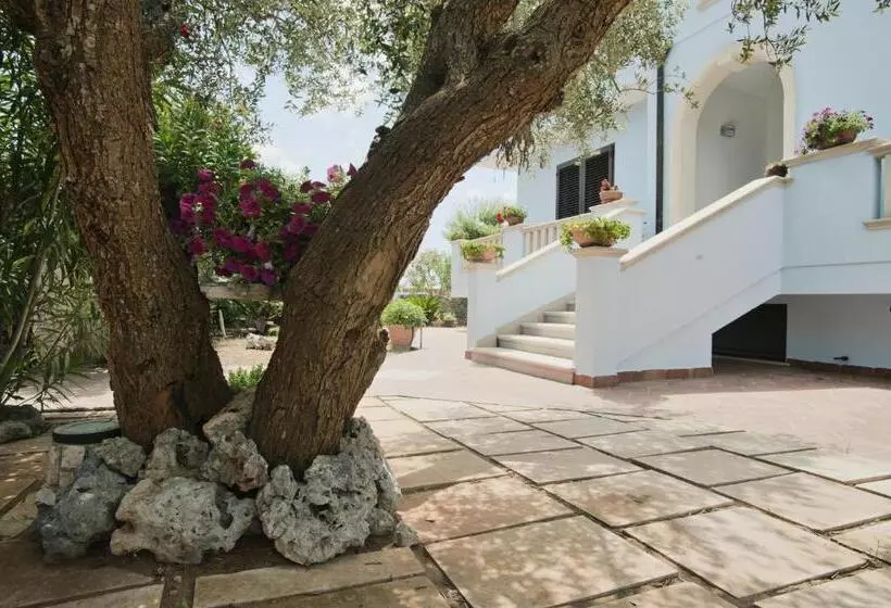Aamiaismajoitus (B&B) Brezza Di Mare