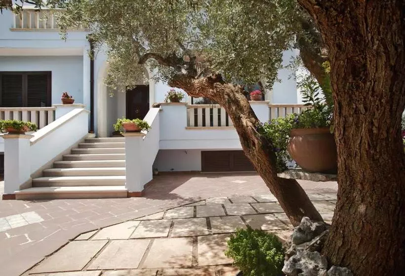 Aamiaismajoitus (B&B) Brezza Di Mare