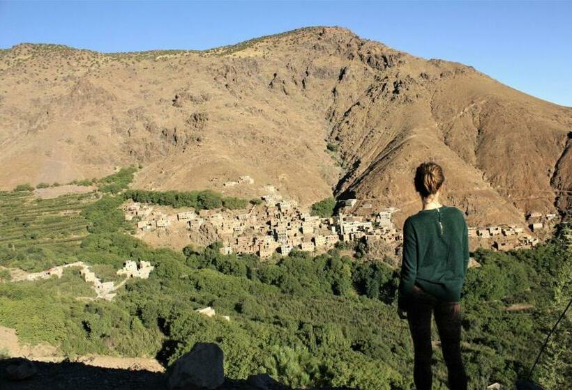 Bed and Breakfast Gite Tizi Mizik