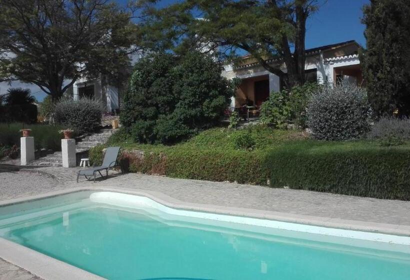 Bed and Breakfast La Escuela Del Campo