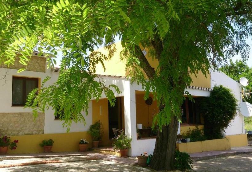 Bed and Breakfast La Escuela Del Campo