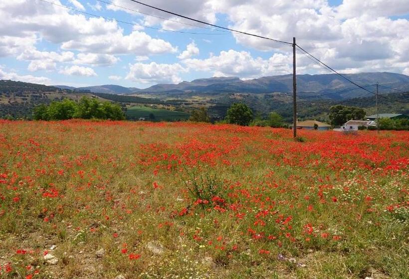 Bed and Breakfast La Escuela Del Campo