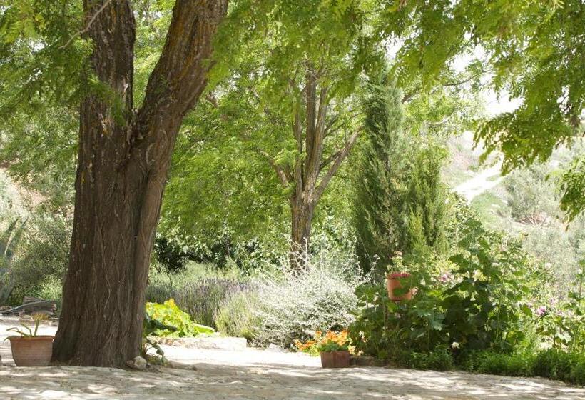 Bed and Breakfast La Escuela Del Campo