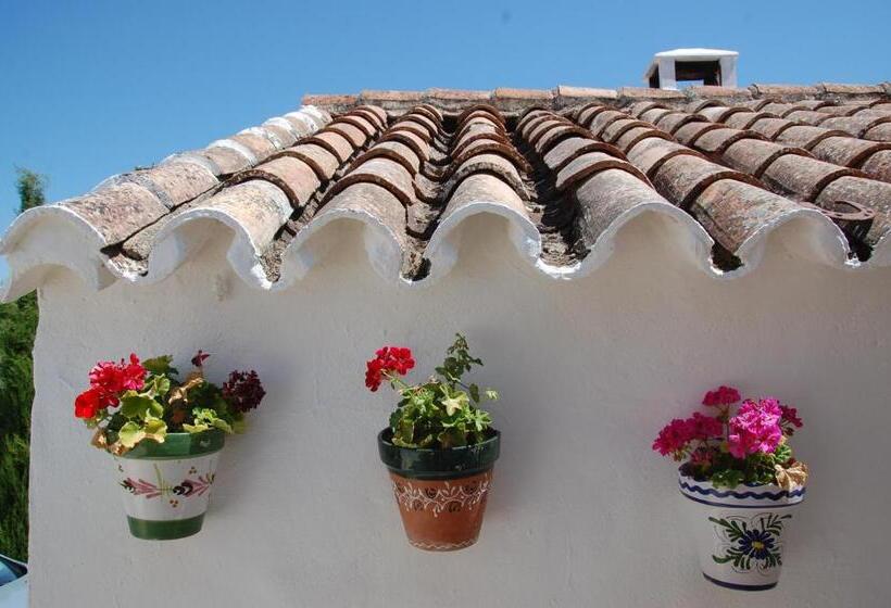 Bed and Breakfast La Escuela Del Campo