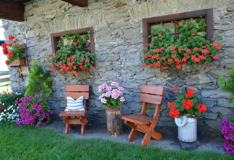 Bed and Breakfast Pension Dorfplatzl