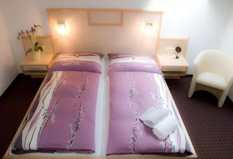 ベッドアンドブレックファースト Pension Dorfplatzl