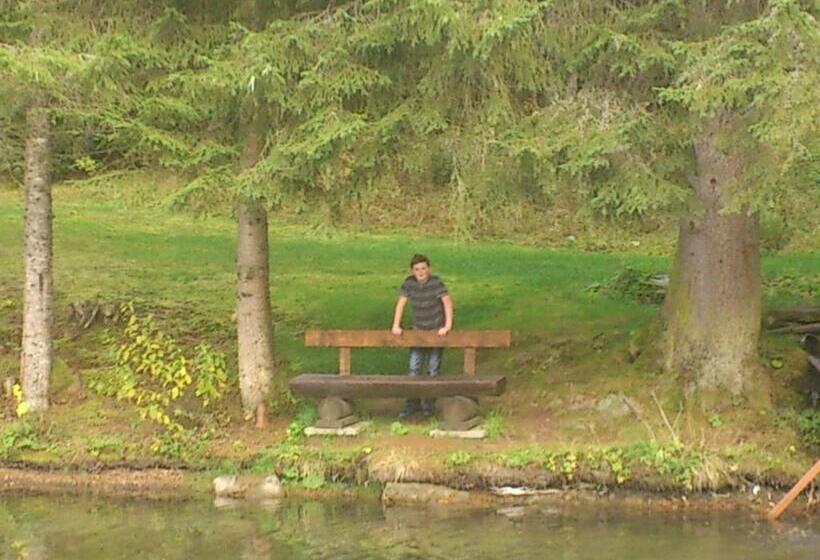 Bed and Breakfast Pension Dorfplatzl