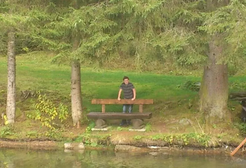 ベッドアンドブレックファースト Pension Dorfplatzl