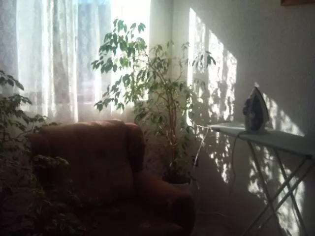 Family Hotel Markony