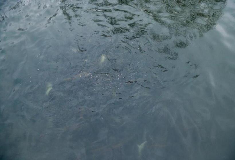 ホテル Pensiunea Anca