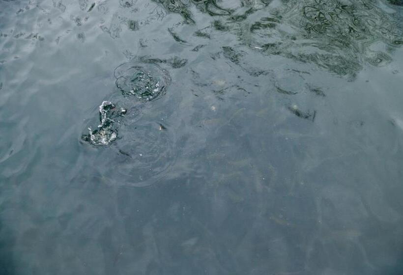 ホテル Pensiunea Anca