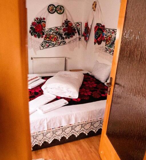 ホテル Pensiunea Anca