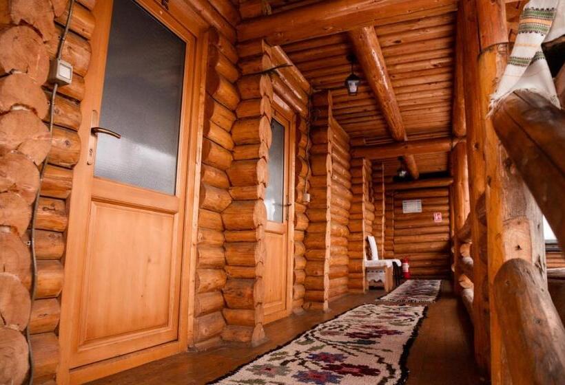 ホテル Pensiunea Anca