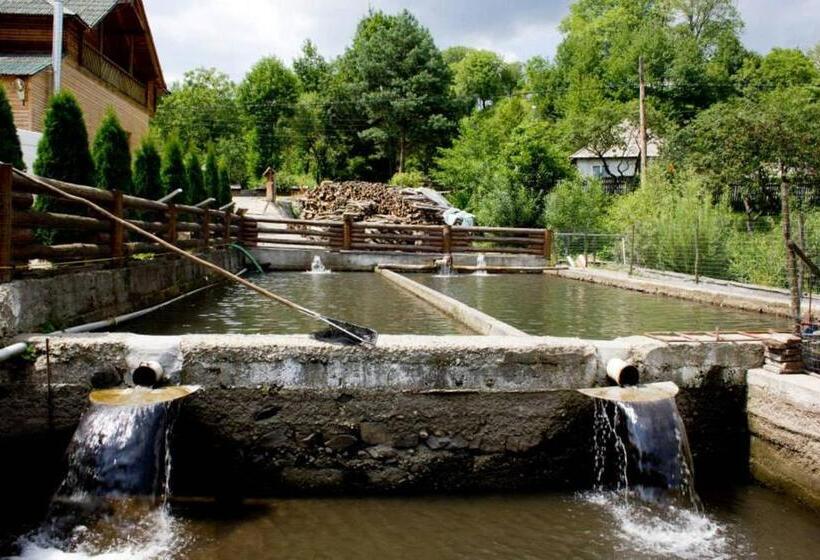 ホテル Pensiunea Anca