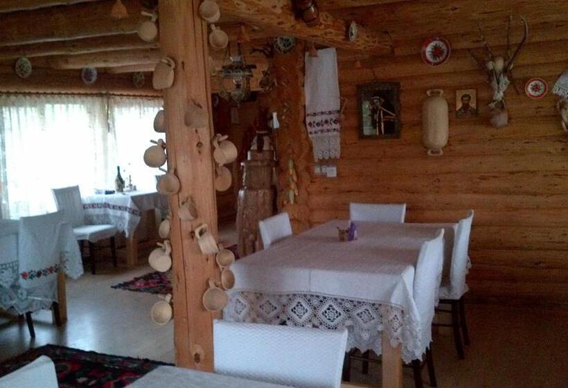 ホテル Pensiunea Anca