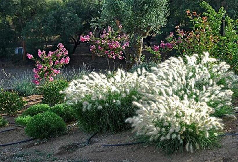 پانسیون Quinta Da Espada