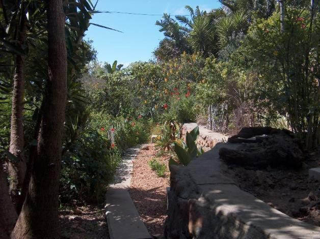 膳宿费 Rachel S Home From Home